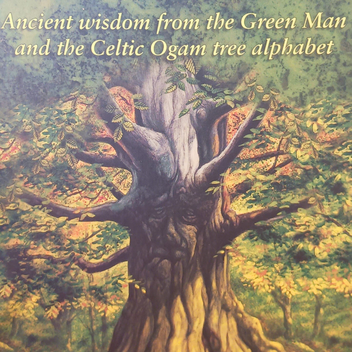 The Spirit Of Nature Oracle - John Matthews