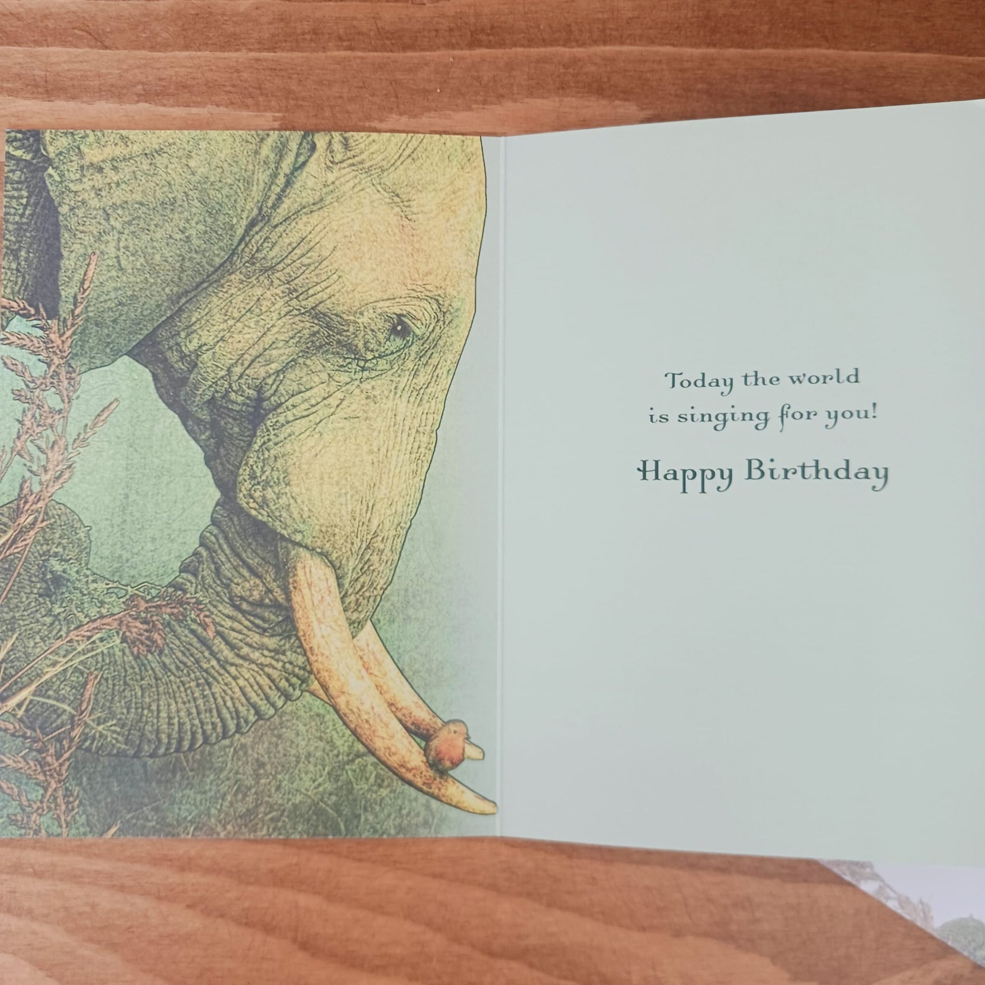 Listen Birthday Card | Elephant themed Birthday cards eco friendly