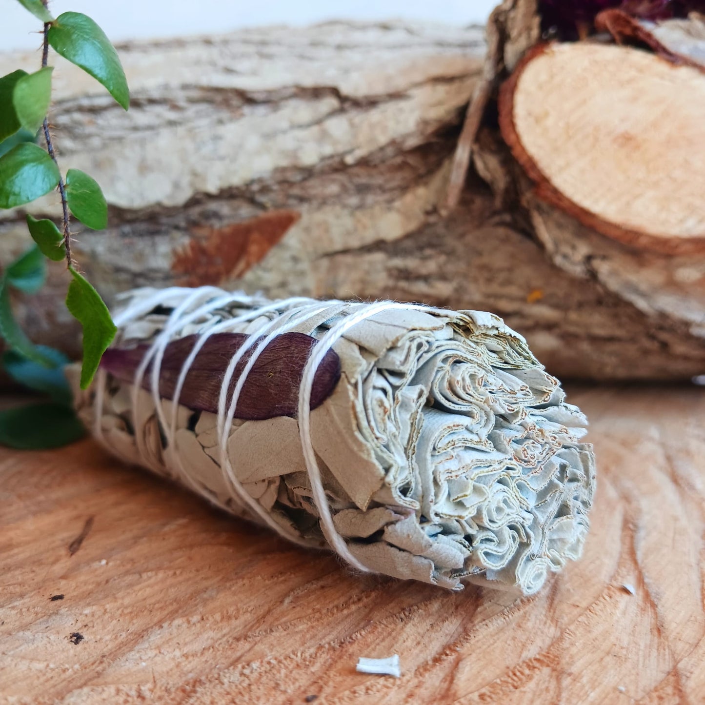 Smudge Stick | Dream Sage 10 cm