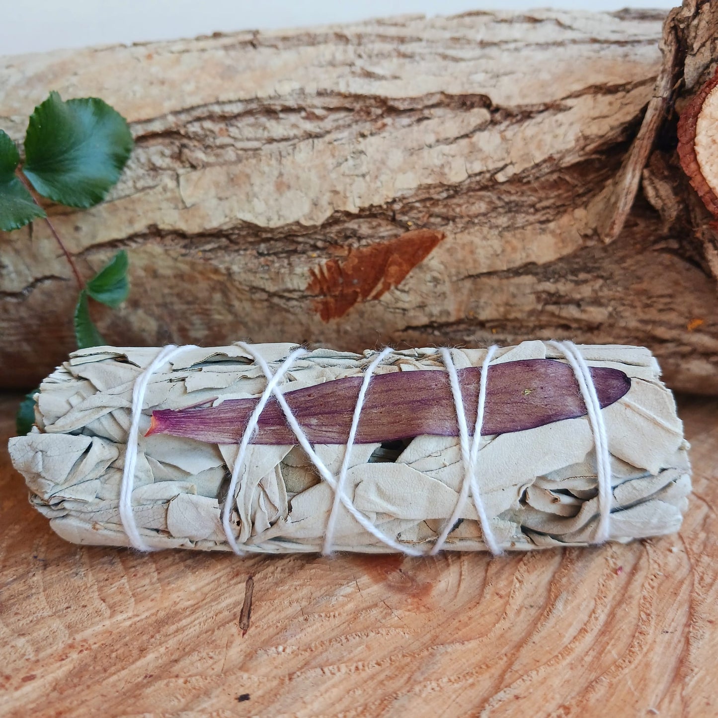 Smudge Stick | Dream Sage 10 cm