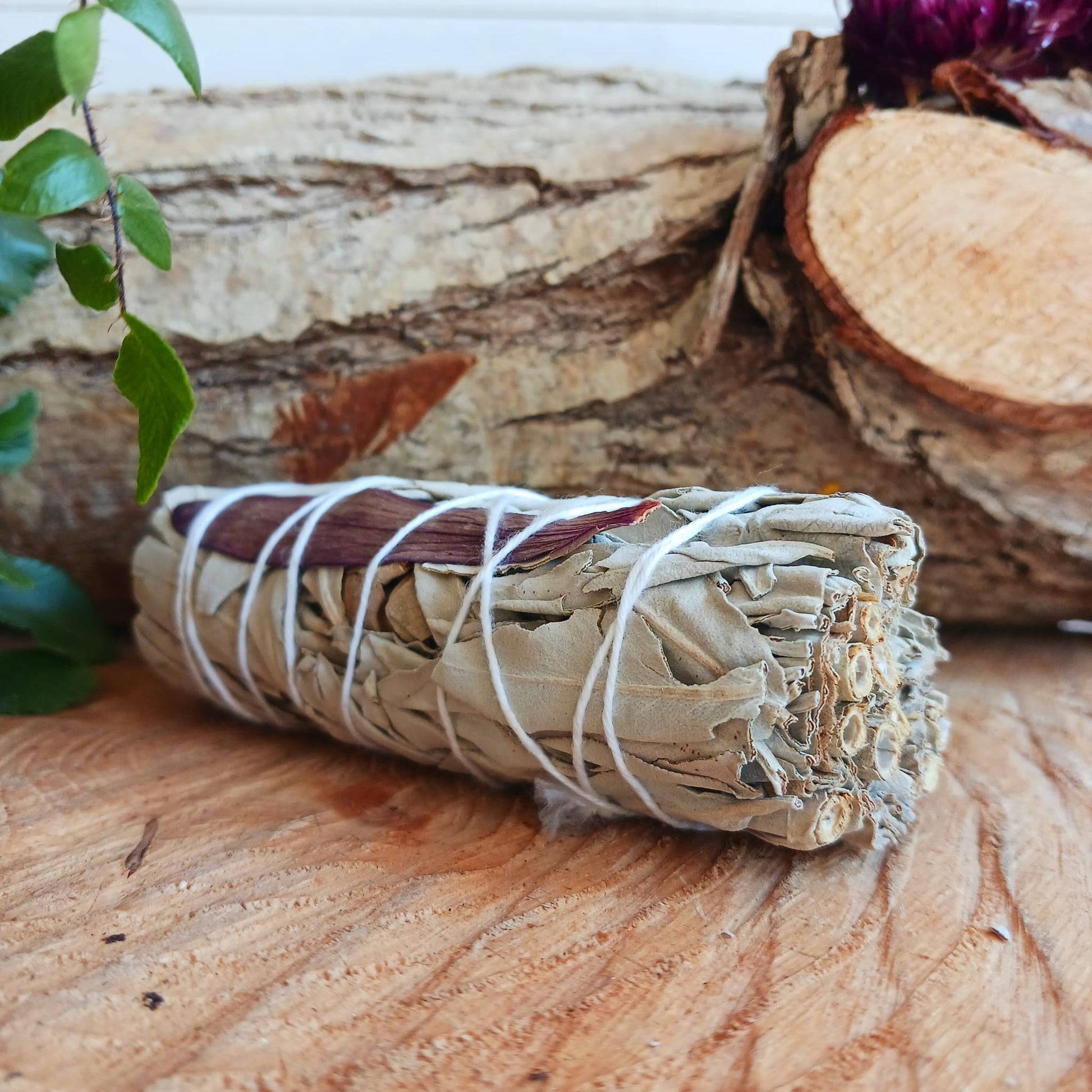 Smudge Stick | Dream Sage 10 cm