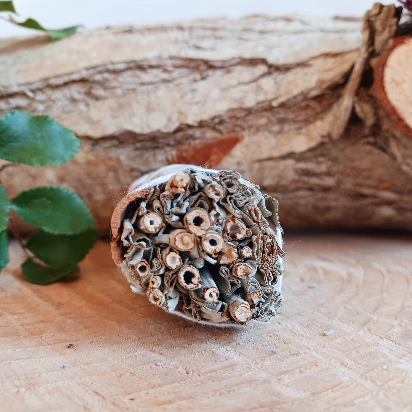 Smudge Stick | White Sage & Cinnamon 10 cm