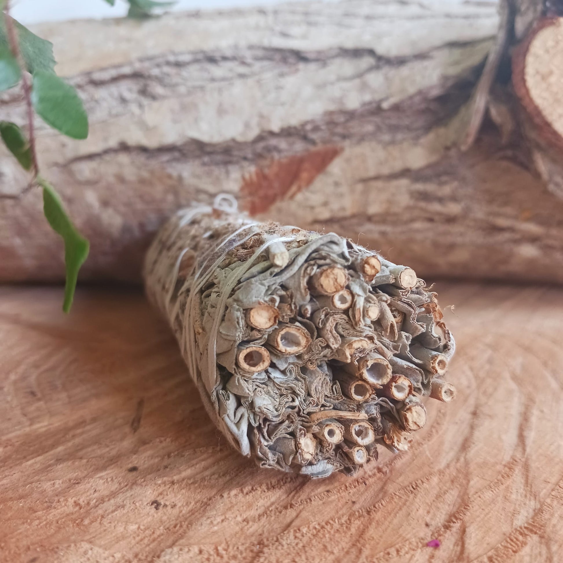 Smudge Stick White Sage & Lavender 10cm