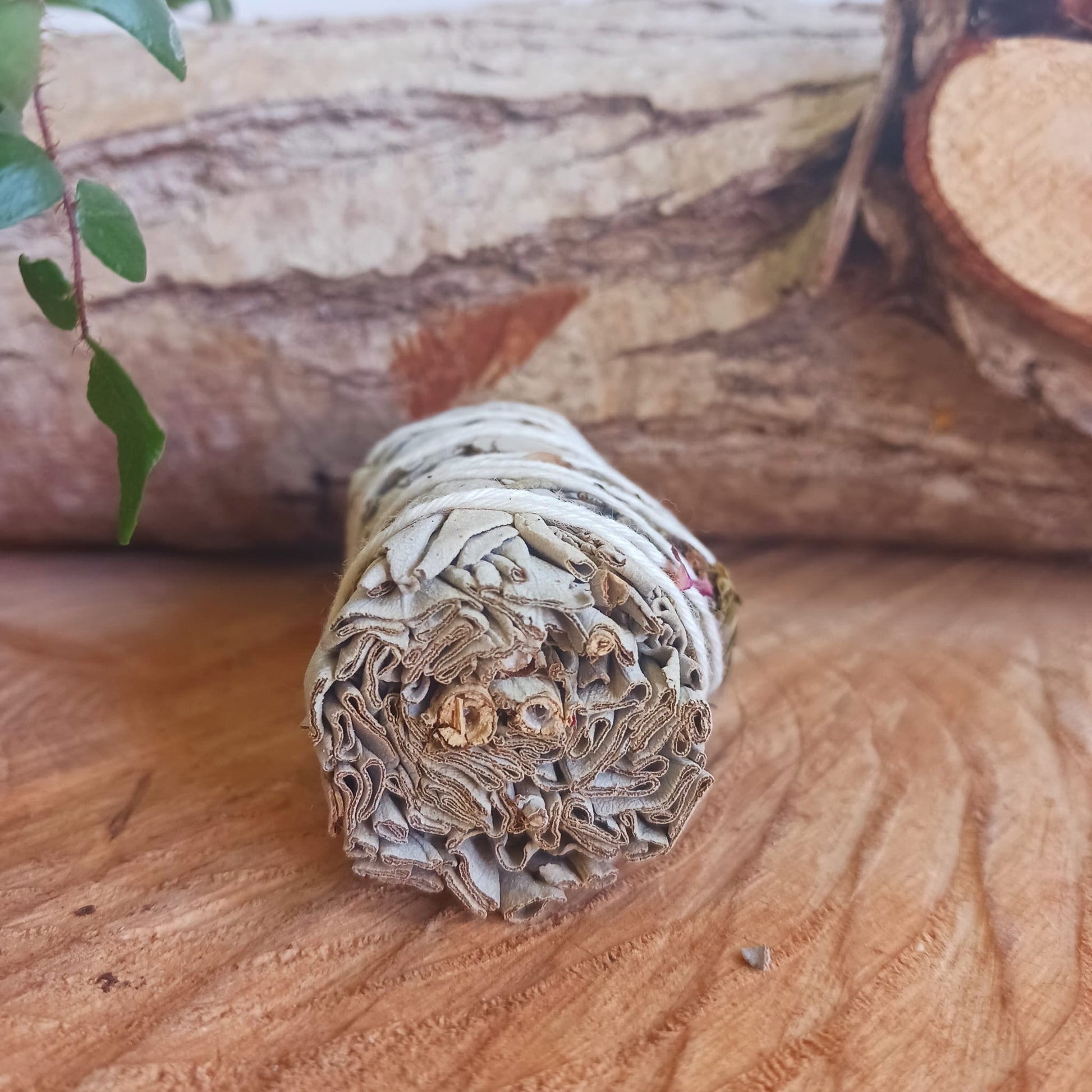 Smudge Stick Spiritual Cleansing Sage 10cm