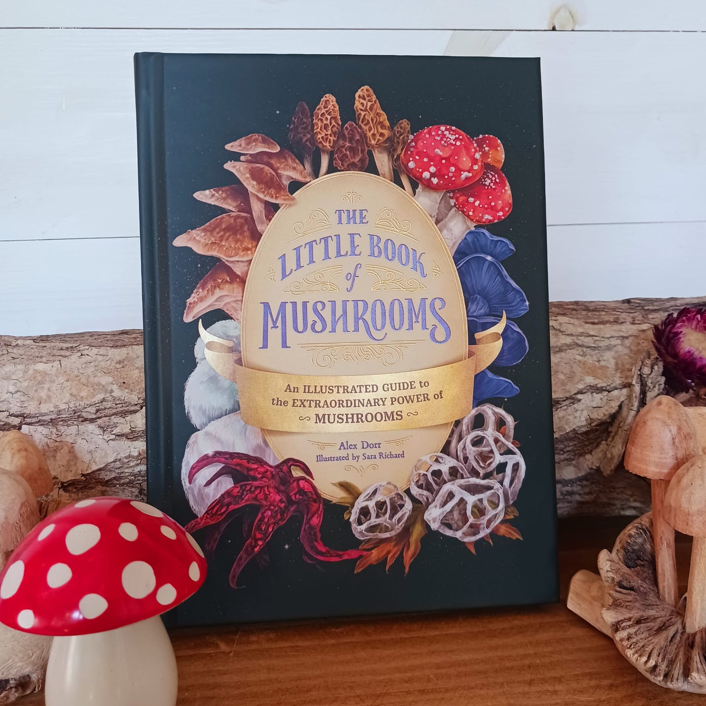 The Little Book of Mushrooms | Hardback