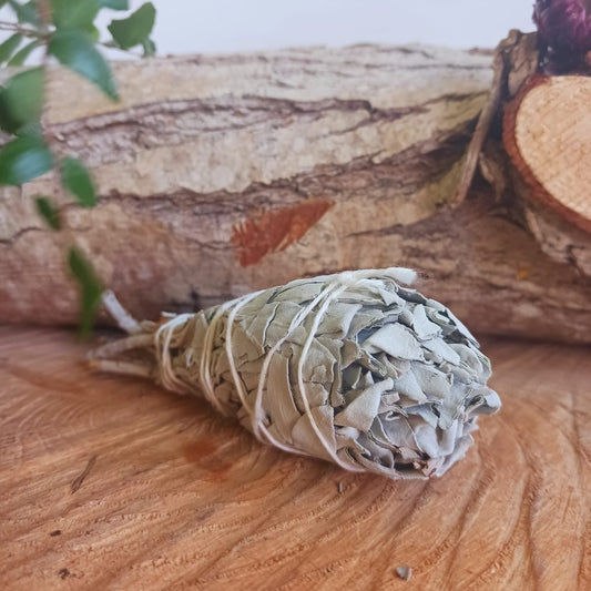 Smudge Stick Mini White Sage Torch 10cm