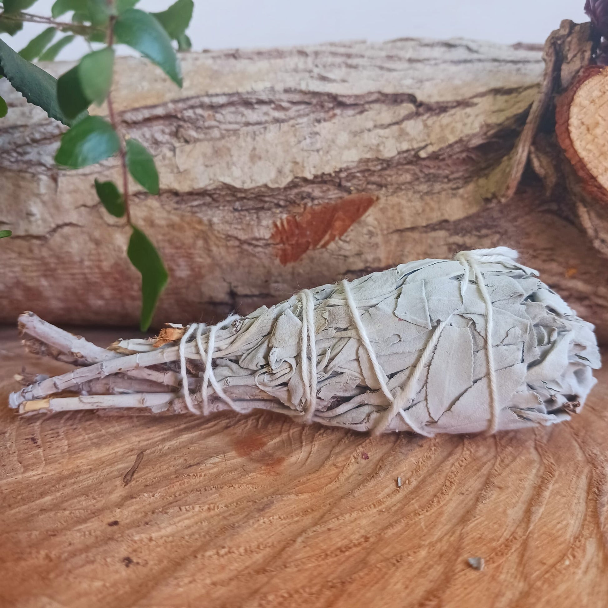 Smudge Stick Mini White Sage Torch 10cm