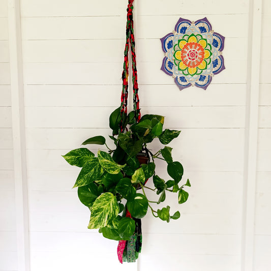 Add a burst of colour and a touch of boho charm to your home with these beautiful Large Recycled Sari Plant Hangers. Each hanger is handcrafted from upcycled sari fabric, giving new life to discarded textiles while ensuring no material goes to waste. Their simple yet elegant design allows them to complement any décor style, from minimal to eclectic. Featuring a sturdy metal ring for easy hanging, they are perfect for showcasing your favourite indoor plants in a sustainable and stylish way.