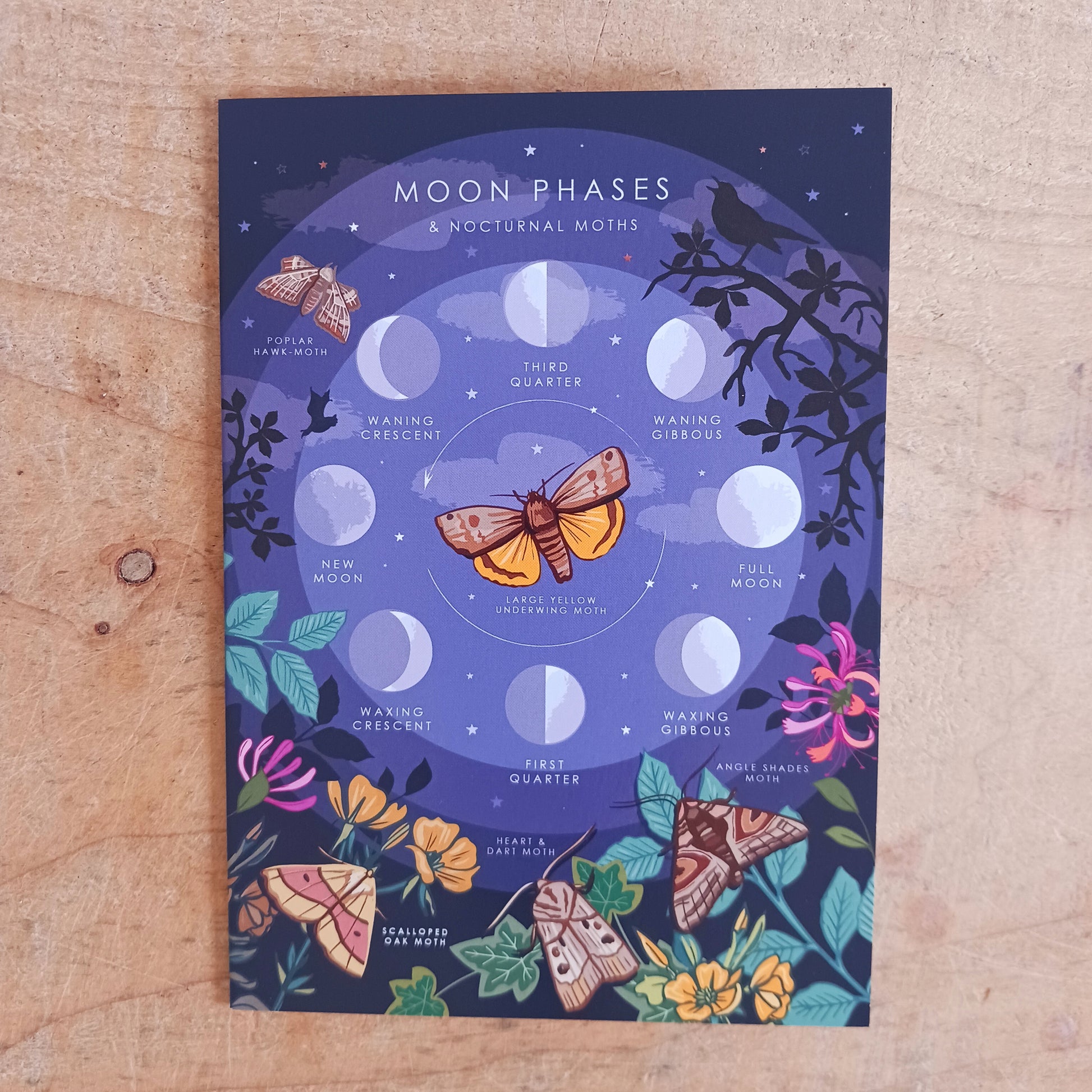 This beautifully illustrated card features the phases of the moon and an assortment of lunar moths on the front. The card is blank inside for you to write your own message.