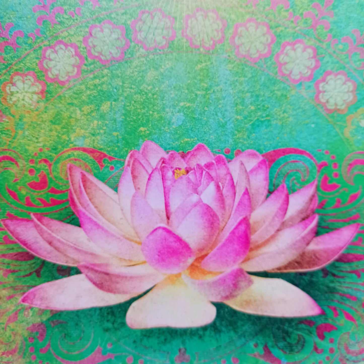 Tree Free inspirational greetings card. Comes with an illustrated envelope. Each card also has faint artwork inside.