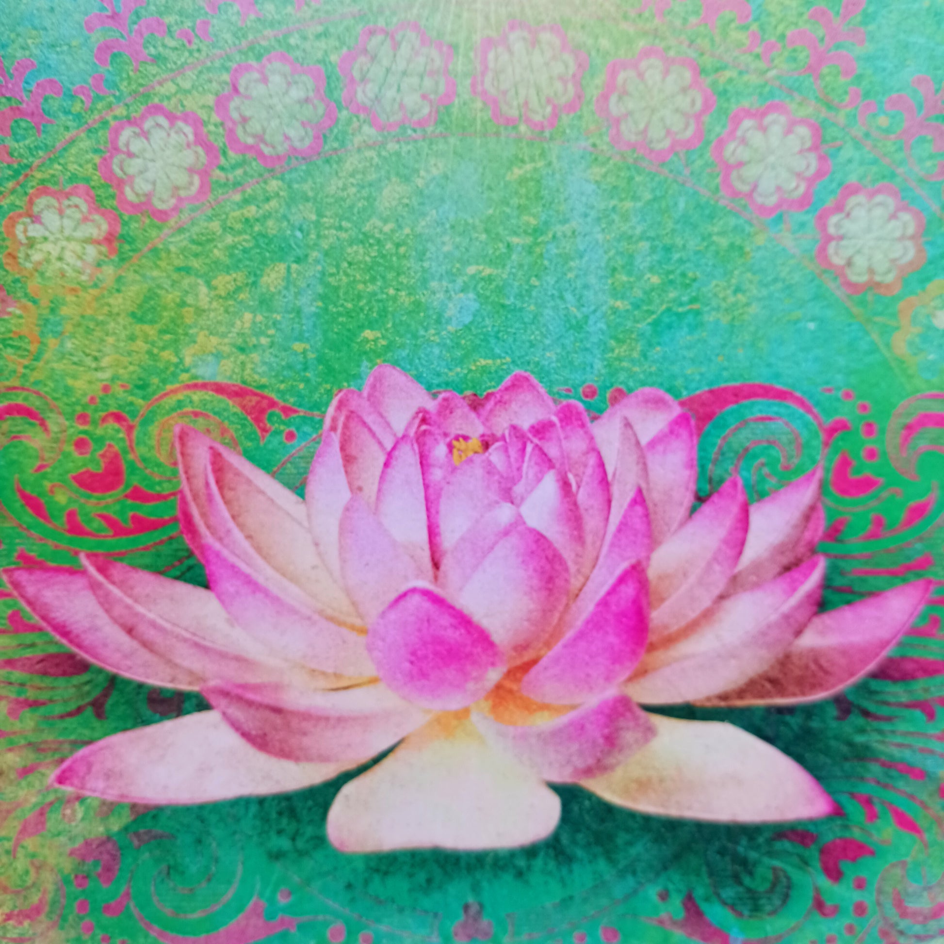Tree Free inspirational greetings card. Comes with an illustrated envelope. Each card also has faint artwork inside.