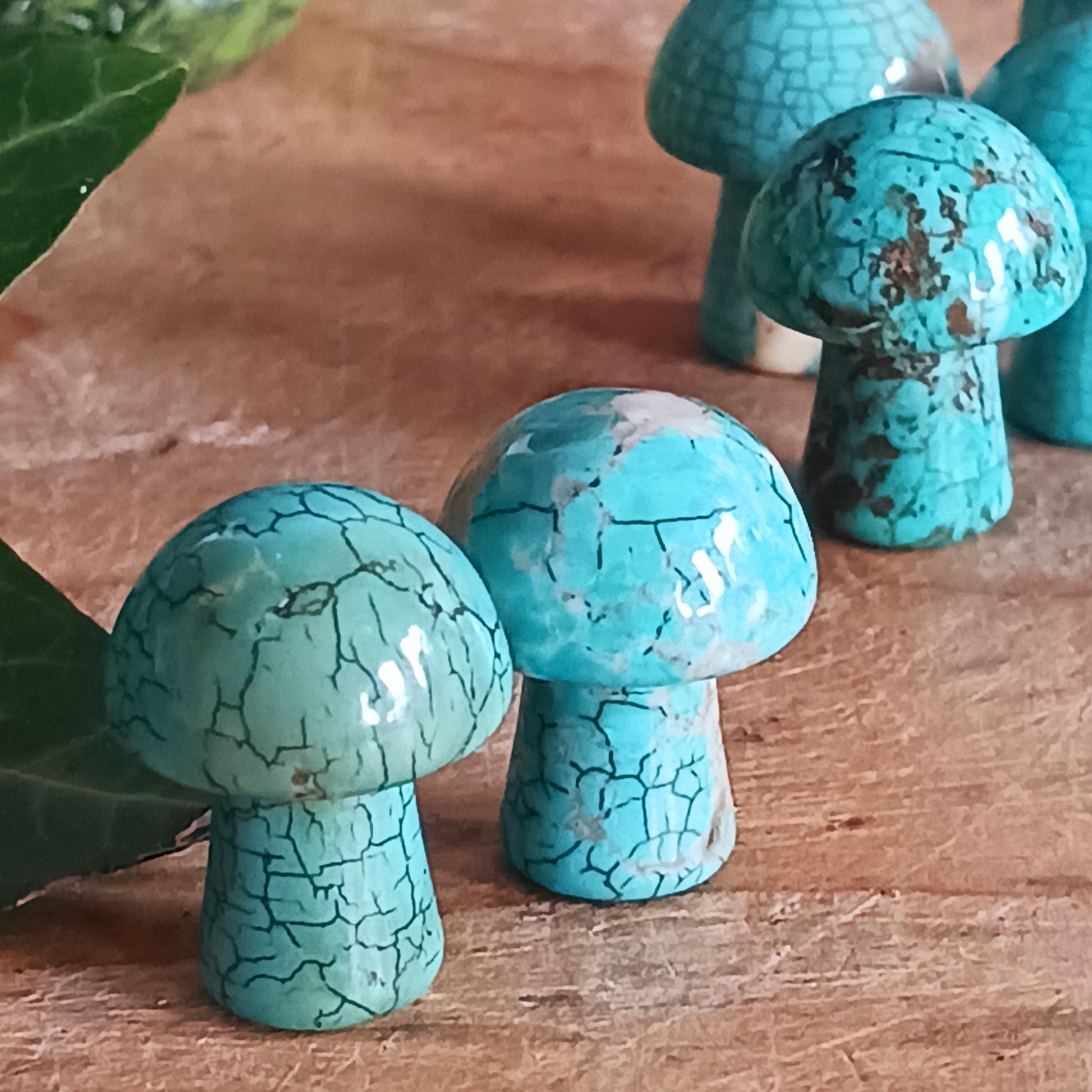 We absolutely love these mini gemstone mushrooms, they are simply adorable!  If you like to collect gemstones these are a very lovely and affordable way to do it. Alternatively, they are the perfect gift for that crystal loving friend.