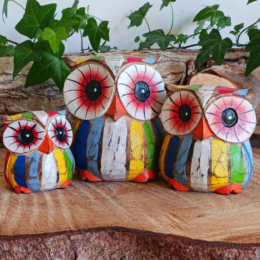 Add a pop of colour to your home décor with these beautiful Rainbow Owls.&nbsp;These vibrant and quirky owl figurines instantly brighten any room with their playful charm. Perfect for owl lovers or anyone looking to inject a touch of fun into their space, each figurine is designed to bring joy, character, and a rainbow of colours into your home. Display them on shelves, desks, or mantelpieces to create a cheerful focal point that guests will adore.
