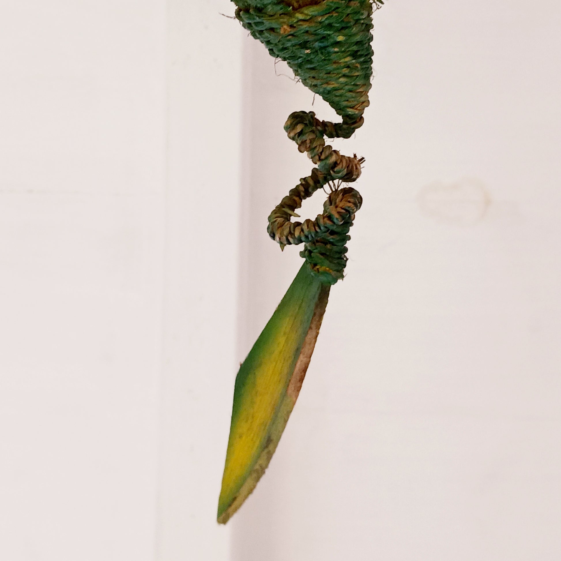 Bring a touch of magic and movement to your home or garden with this Large Green Coconut Dragon Mobile, a beautifully handcrafted decorative piece handmade in Indonesia.