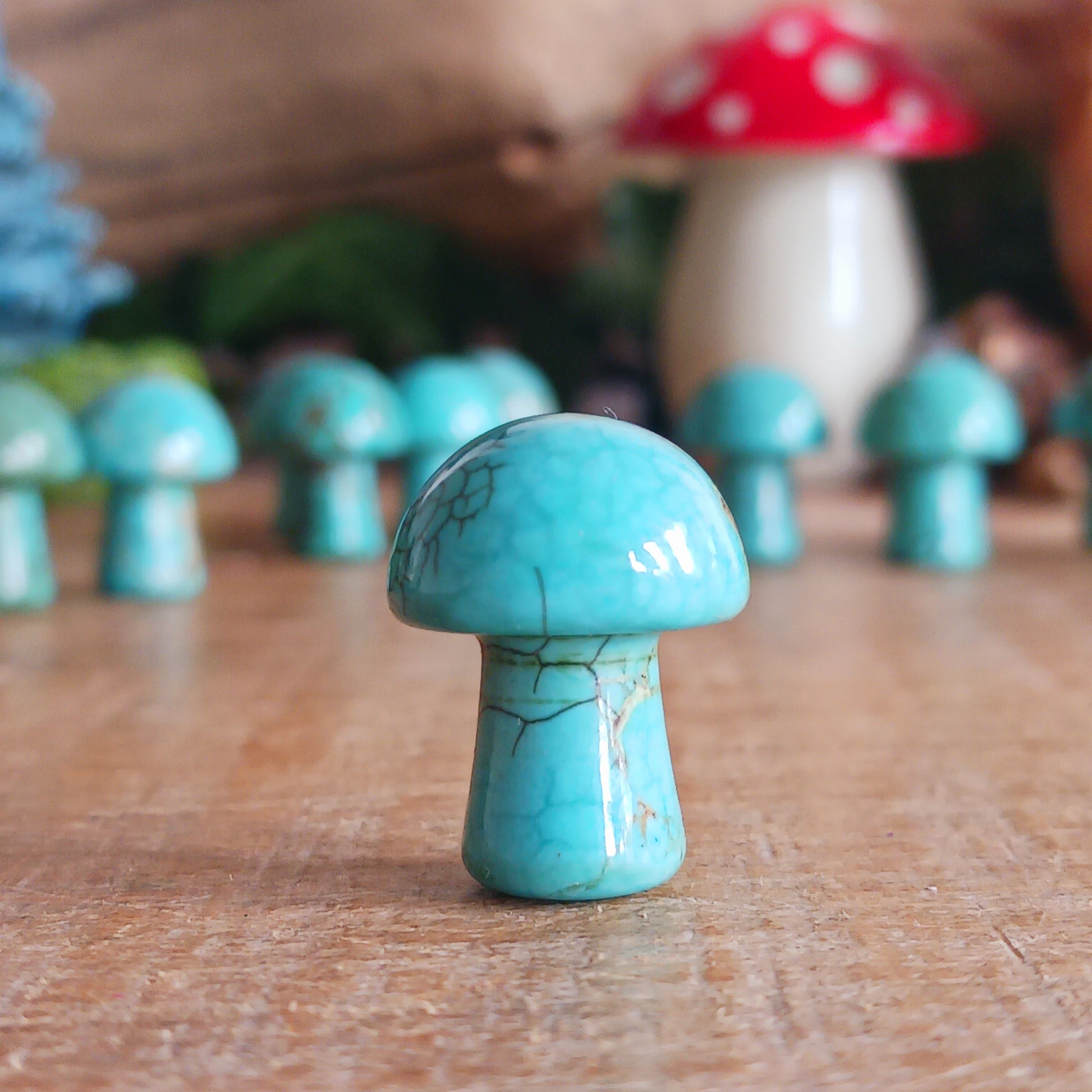 We absolutely love these mini gemstone mushrooms, they are simply adorable!  If you like to collect gemstones these are a very lovely and affordable way to do it. Alternatively, they are the perfect gift for that crystal loving friend.