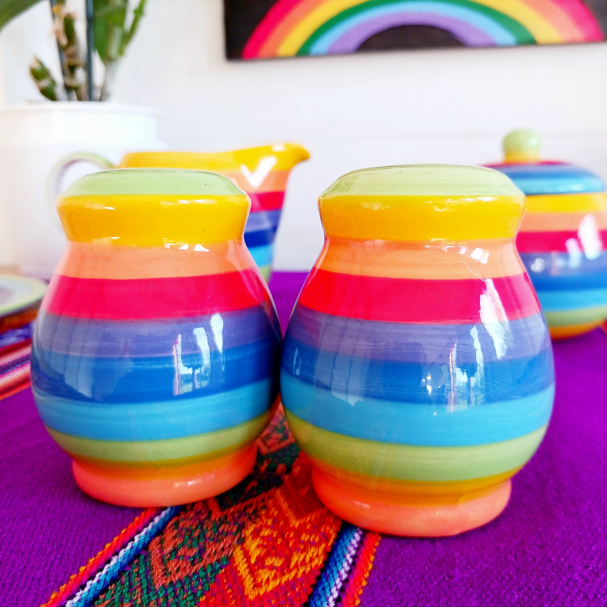 Bring a burst of colour to your dining table with this delightful rainbow stripe ceramic salt and pepper set. Each piece is hand-painted, making every set unique and full of character. The vibrant stripes add a cheerful touch to any home, combining functionality with artistic flair.