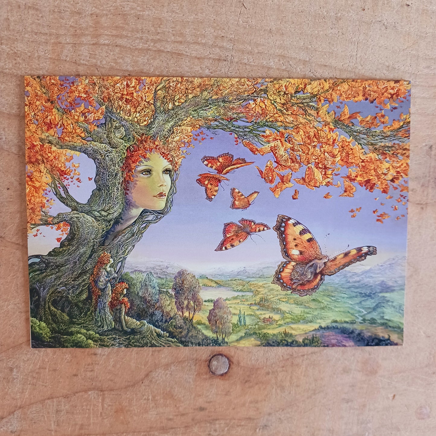 This beautiful greetings card entitled Butterfly Tree is designed by Josephine Wall. The card is blank inside for you to write your own message. Each envelope is decorated with pretty artwork too. Perfect for any occasion.