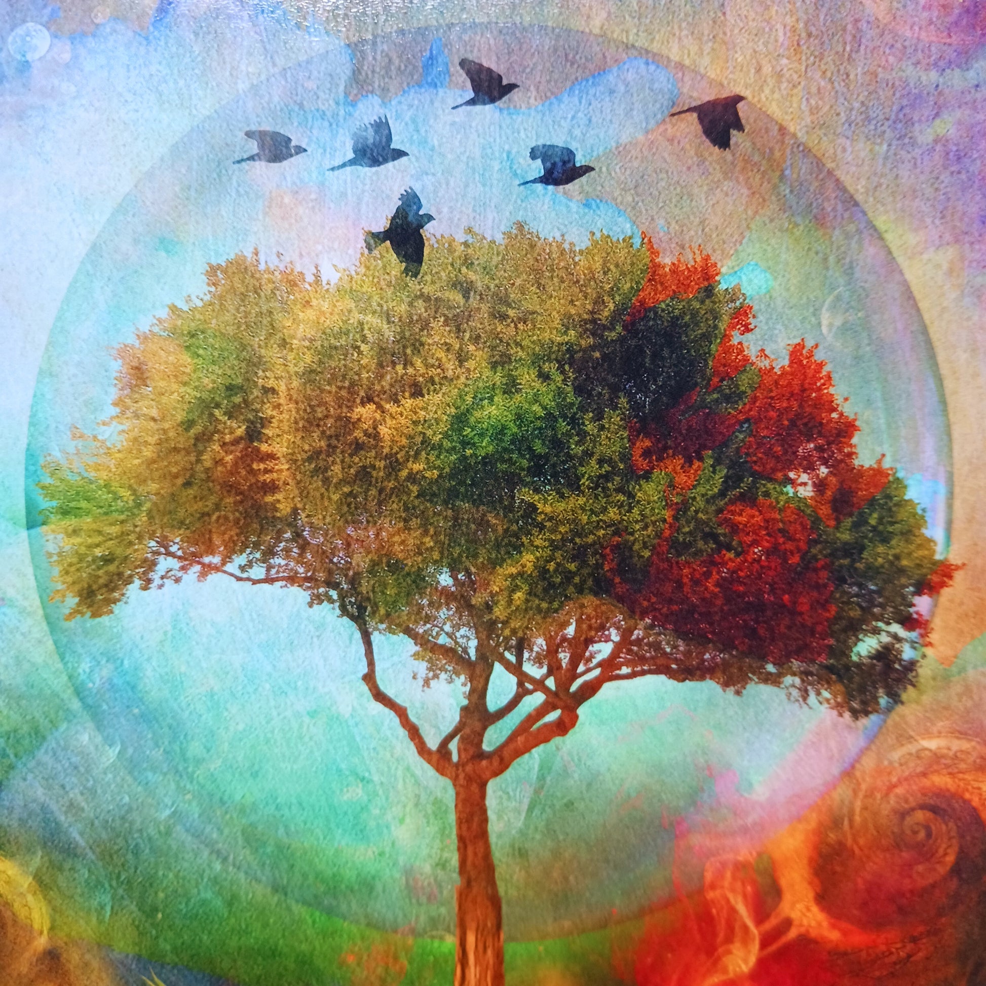 All occasions greetings card featuring a beautifully illustrated Tree of Life on the front. The card is blank inside for you to write your own message. The card comes with a plain envelope. Each card also has faint artwork inside.