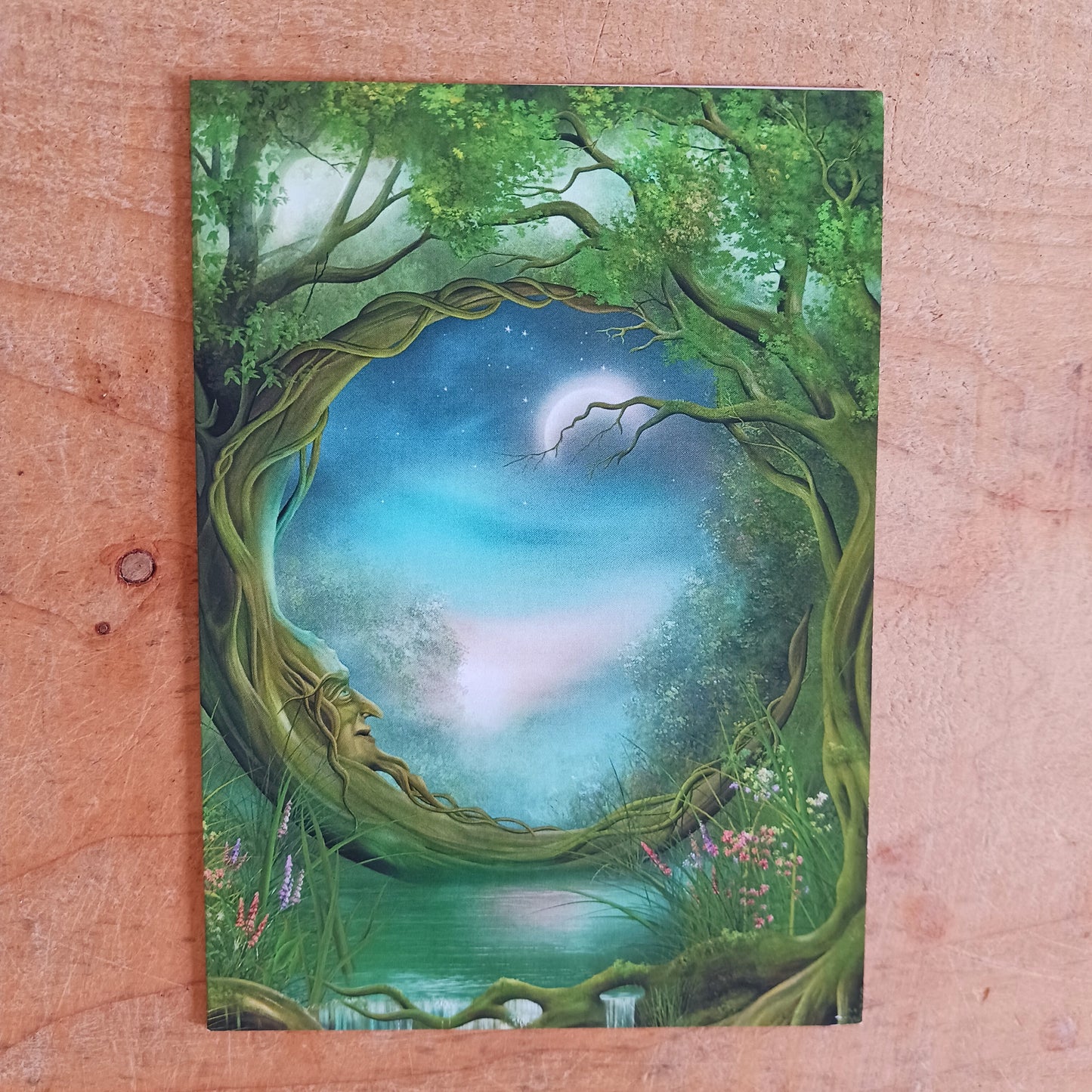 Beautifully illustrated Day &amp; Night card for any occasion, left blank for you to write your own message. Comes with an illustrated envelope. Each card also has faint artwork inside.