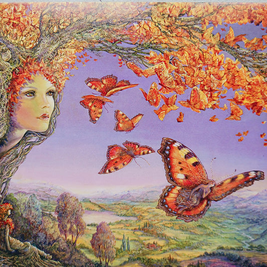 This beautiful greetings card entitled Butterfly Tree is designed by Josephine Wall. The card is blank inside for you to write your own message. Each envelope is decorated with pretty artwork too. Perfect for any occasion.