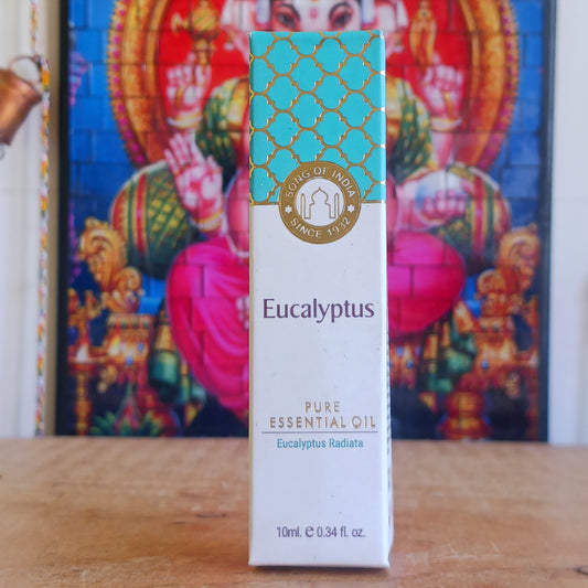 Experience the refreshing power of nature with Song of India Pure Eucalyptus Essential Oil, expertly crafted to support clear breathing and revitalisation. This premium-quality essential oil comes with a convenient glass pipette for precise, mess-free application.