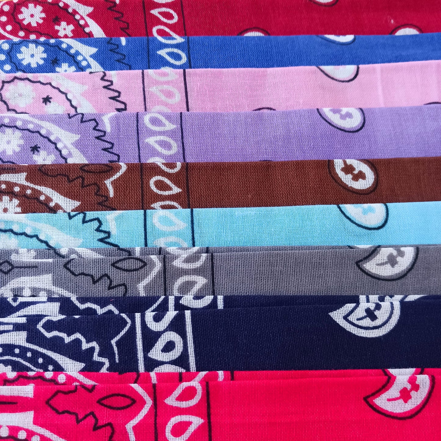 Classic Paisley Bandana | Assorted Colors