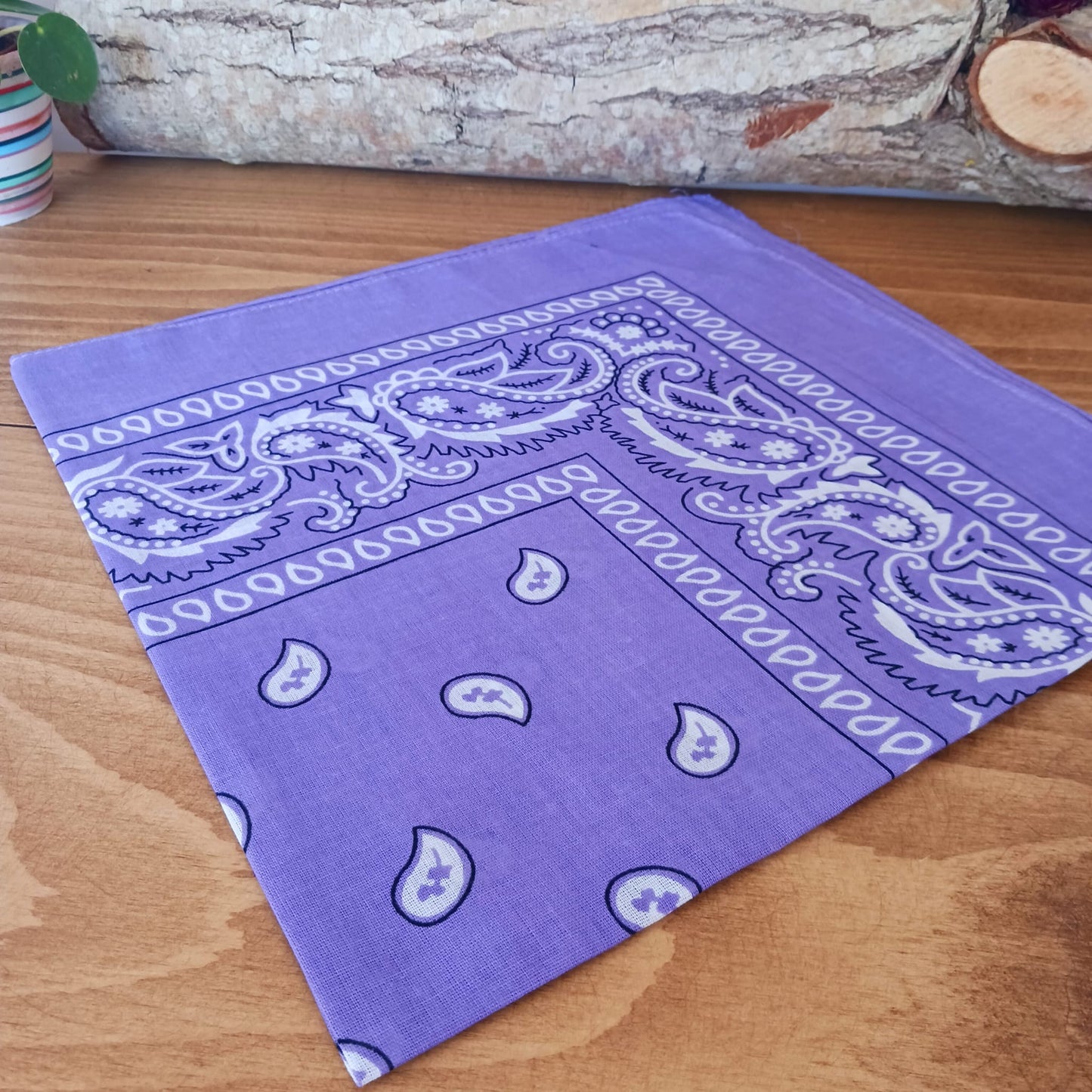 Classic Paisley Bandana | Assorted Colors