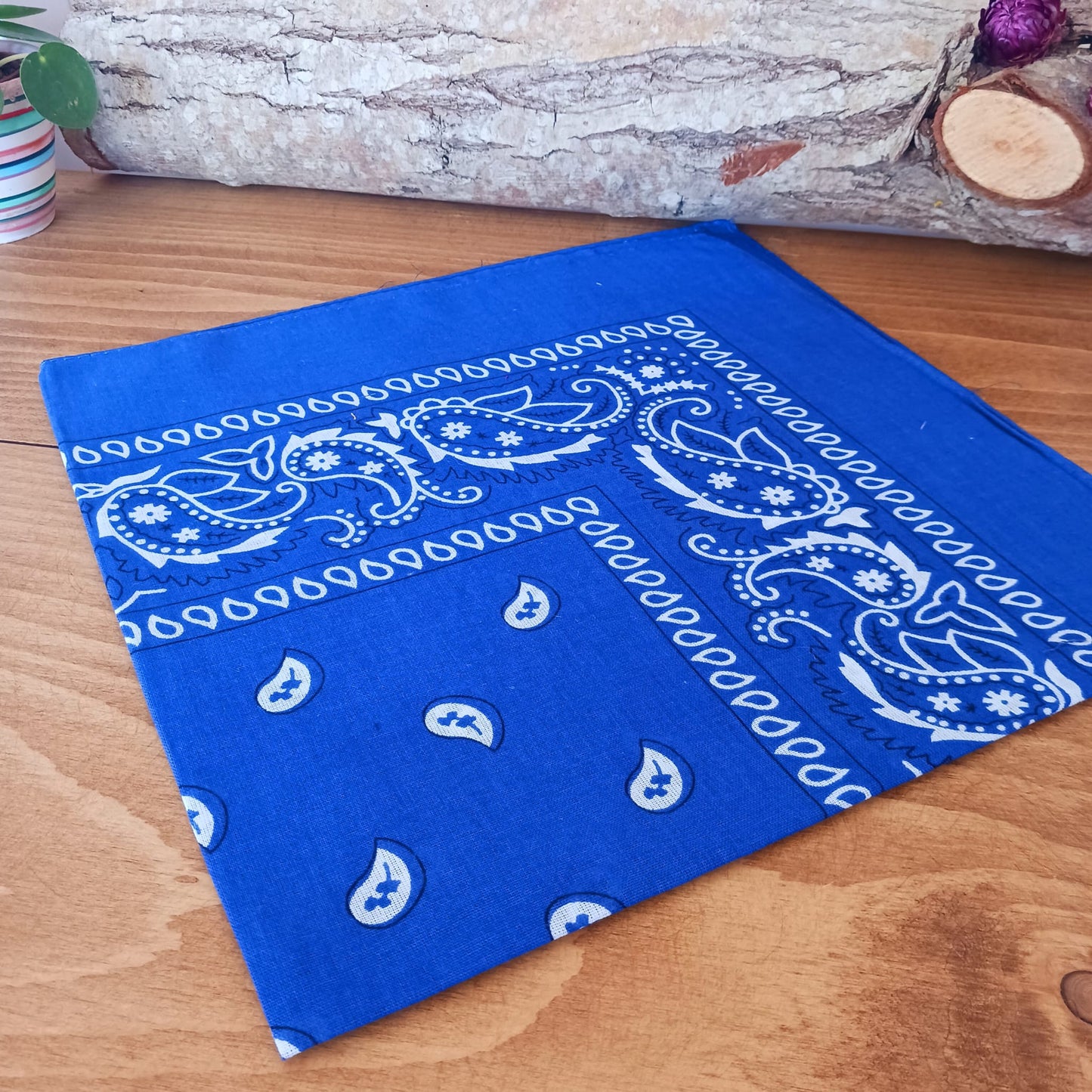 Classic Paisley Bandana | Assorted Colors