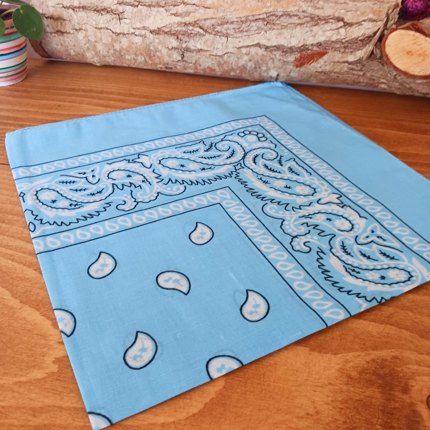 Classic Paisley Bandana | Assorted Colors